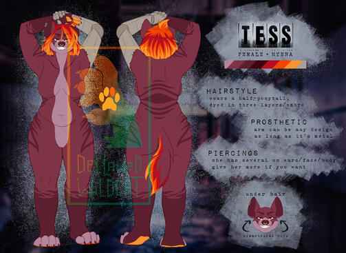 2-view ref, detail close-up